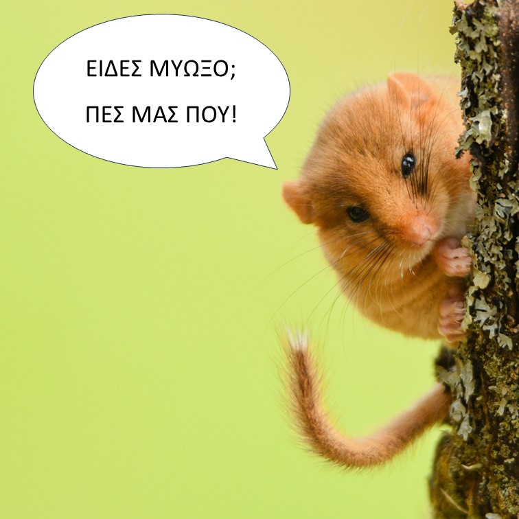 Εικόνα με Μυωξό και Σύνδεσμος προς Επικοινωνία